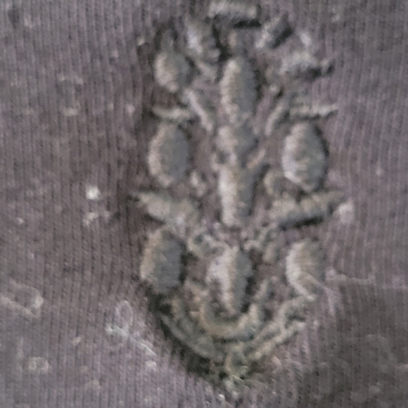 Free People Movement Make It Count Onesie jumpsuit - S.        F15 - Picture 8 of 10